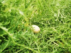 -杭州六谷生态休闲农庄有限公司