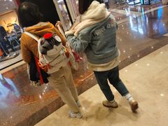 -魔方剧情密室(徐汇店)