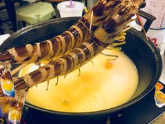 -鲜入围煮花胶鸡海鲜火锅