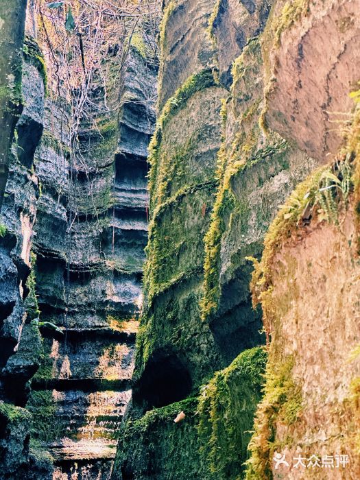 梭布垭石林景区图片