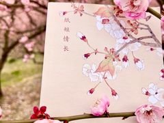 -苏州上方山国家森林公园