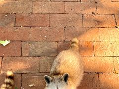 -水上乐园·欢乐世界