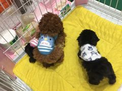 -必胜客(茂业店)
