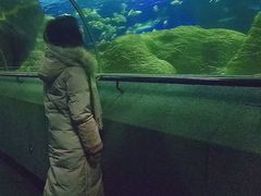 -大连圣亚海洋世界