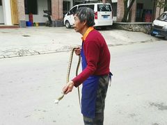 -铁山坪森林公园