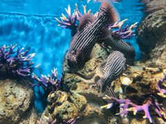 -福州罗源湾海洋世界旅游区