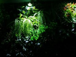 绿植墙-M Hair造型