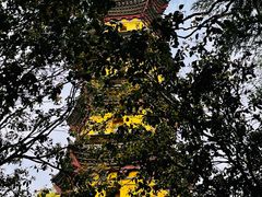 -阿育王寺