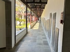 -苏州文庙(姑苏区)