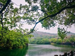 -白马涧龙池景区