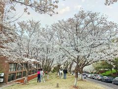 -浙江大学(玉泉校区)