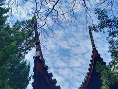-秋霞圃