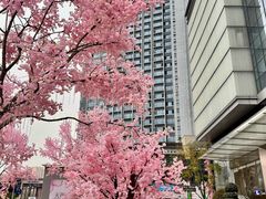 -首开·龙湖成都西宸天街