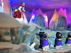 -帝企鹅自助餐厅•儿童岛•真企鹅(长隆企鹅酒店)