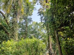 -广西壮族自治区药用植物园