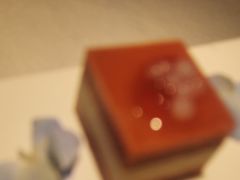 -味界·精致赣菜(招商花园城店)