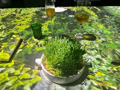 -良设夜宴 LIANGSHE