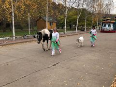 -哈尔滨北方森林动物园