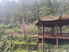 -青城山