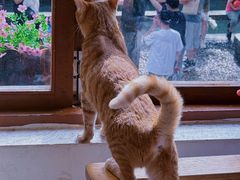 -猫的天空之城概念书店(苏州平江店)