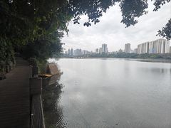 -南宁南湖公园