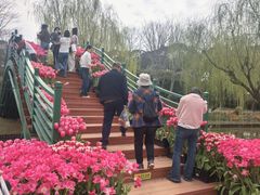 -上海鲜花港