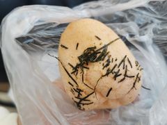 -都恩客(高岛屋百货店)