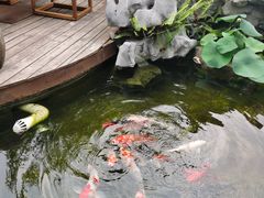 -道南書院·私房菜·早午茶·茶馆