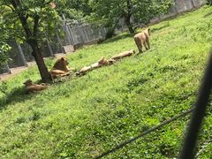 -西安秦岭野生动物园