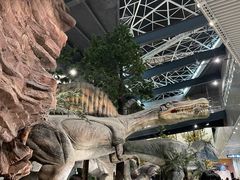 -湖南省地质博物馆