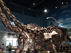 -自贡恐龙博物馆