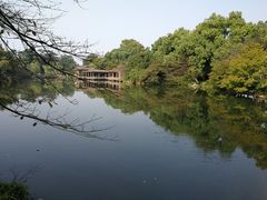 -西湖外事游船(花港观鱼码头)