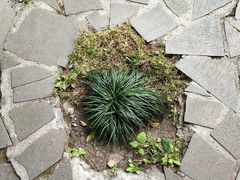 -星巴克(西湖天地店)