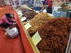 -南宁国际会展中心(会展东博文化旅游区)