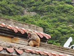 -白帝城·瞿塘峡景区