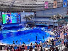 -海合安成都极地海洋公园