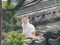 -神宫·日本料理(淮海街店)