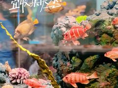 -天津自然博物馆
