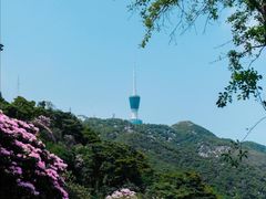 -梧桐山风景名胜区