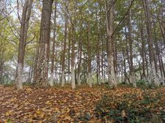 -白马涧龙池景区