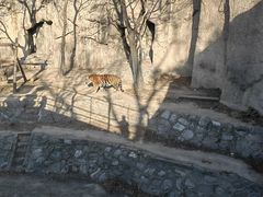 -北京海洋馆