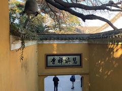 -普陀山慧济禅寺