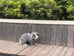 -兰溪青年公园