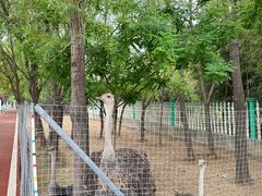 -兰陵国家农业公园