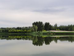 -东郊湿地公园