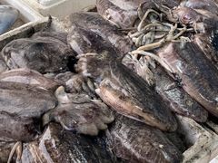 -江杨农产品批发市场