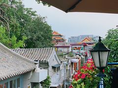 -Sirena海妖日咖夜酒