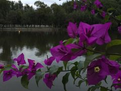 -新竹里馆·花园餐厅(兴苑路店)