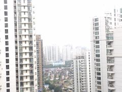 -新湖明珠城