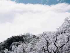 -梵净山旅游区